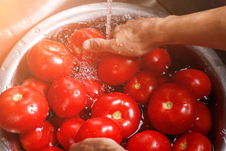 Male hands wash big tomatoes.の写真素材