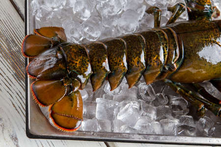 Lobster on tray with ice. Tail of brown lobster. Fresh catch on the table. Shell stronger than armor.の写真素材