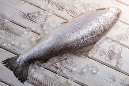 Raw fish on ice cubes. Fish on white wooden surface. Salmon was bought in supermarket. Big and expensive fish.の写真素材