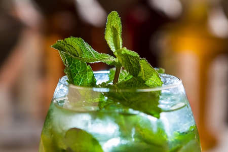 Mint in glass with drink. Green leaves on small branch. Alcoholic beverage served at party. Hugo cocktail with mineral water.の写真素材
