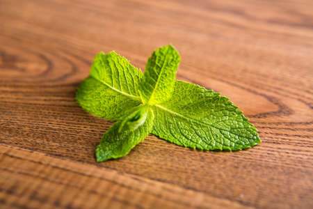 Green leaves of mint on brown wooden background.