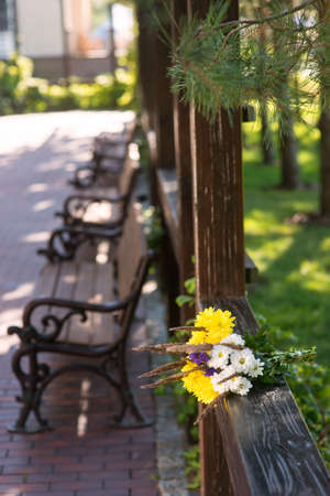 Bouquet on wooden fence. Light colored flowers. Smell of camomiles. Purity and warmth.の写真素材