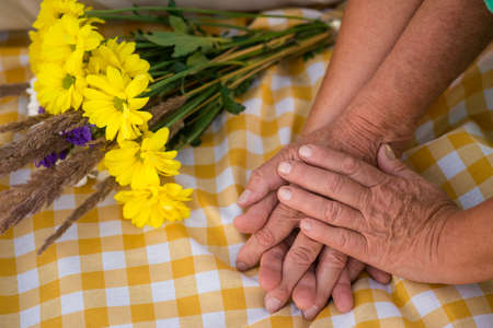 Hands of senior couple. Bouquet on checkered cloth. Best gift of fate. I'll take care of you.