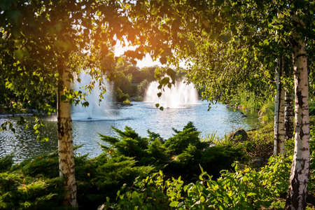 Fountains in pond. Birches near the water. Peaceful place outside town. Rest for body and reason.の写真素材