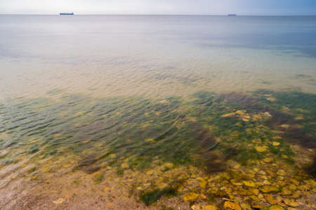 Transparent water on seashore. Stones and seaweed. Way to new horizons. Go into a long voyage.の写真素材