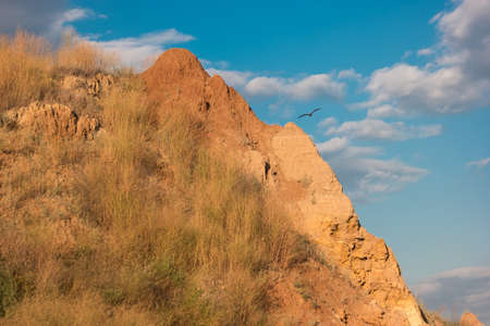 Bird flying near mountain. Rock and cloudy sky. Wild and free. Born to fly high.の写真素材