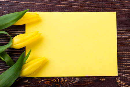 Yellow tulips near blank paper. Blooms and piece of paper. Space for creativity. Popular greeting items.の写真素材