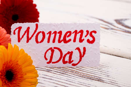 Women`s Day card near gerberas. Fresh flowers and greeting paper. Congratulate your girlfriend.の写真素材