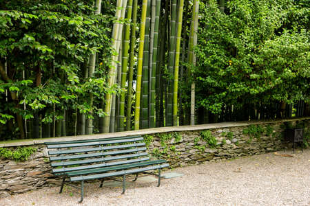 Bench and nature. Bamboo near low stone wall. Summer in China.の写真素材