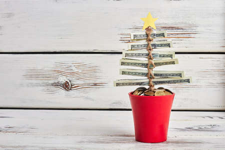 Money tree in pot. Wishing blessings and prosperity.の写真素材