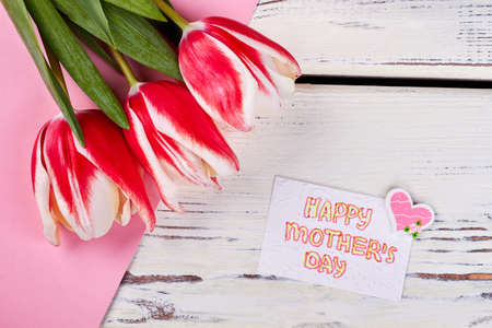 Spring tulips and greeting card. I love my mom.