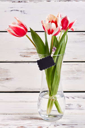 Vase with tulips. Celebrate womens day together.の写真素材