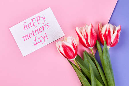 Flowers on coloured surface. Thank you mother.の写真素材