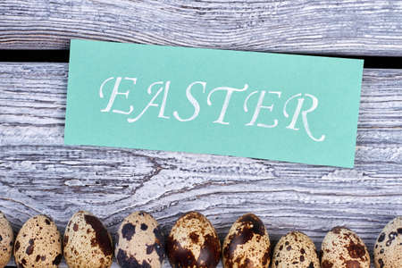Some quail eggs in a row. Easter themed card. Happy Easter congratulations.の写真素材