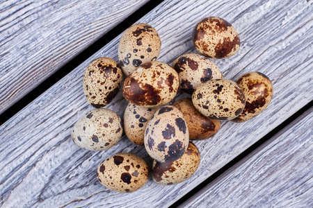Quail eggs on gray wood. Top view of eggs.の写真素材
