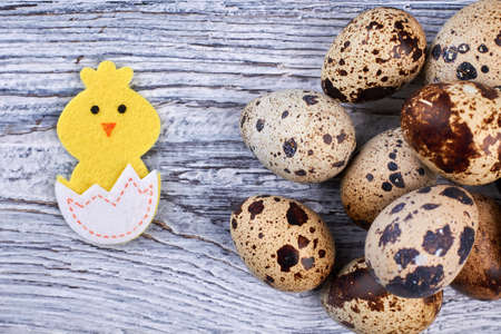 Quail eggs and felt bird. Eggs on wood, close up.の写真素材