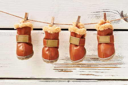 Dogs shoes hanging on clothesline. Walking the dog.の写真素材