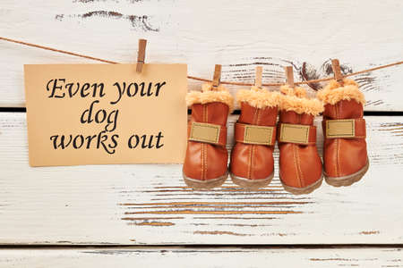 Dogs shoes and motivation card. Healthy and active.の写真素材
