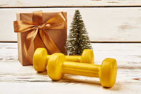 Dumbbells, Christmas tree and present. New body for new year.の写真素材