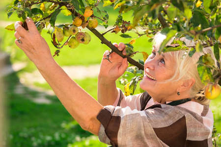 Smiling senior woman near tree. Happy lady outdoors.の写真素材