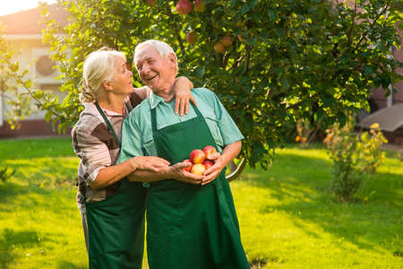 Couple of seniors with apples. Man in apron smiling. Our boundless happiness.の写真素材