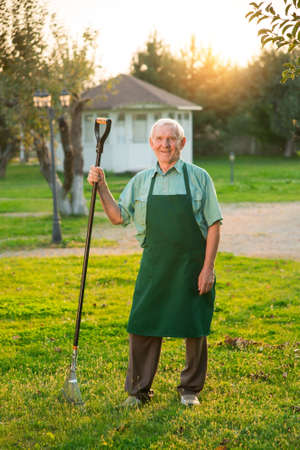 Senior gardener with rake smiling. Old man standing on grass. Best gardening tips.の写真素材