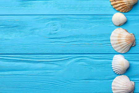 Beautiful marine still life. Vacation memories from beach. Time to repeat holiday.
