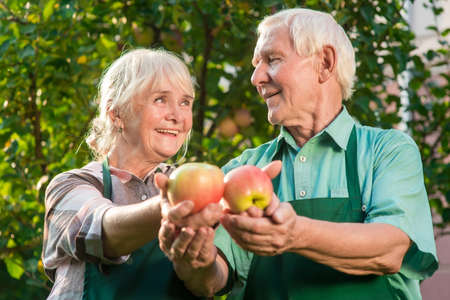 Senior gardeners holding apples. Smiling couple outdoor. Live and smile.の写真素材