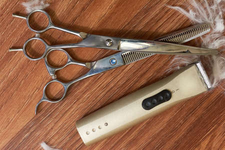 Pet grooming tools, wooden background. Scissors and hair clipper. Pet groomer job outlook.の写真素材