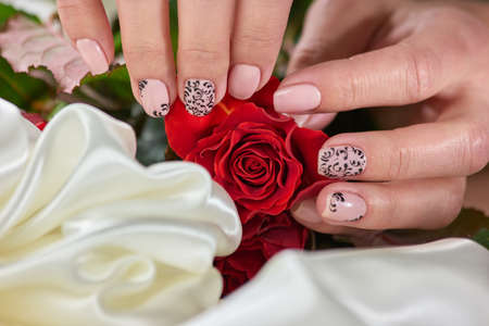 Female manicure hands, roses, silk. Young womans hands with manicure holding roses lying on white...