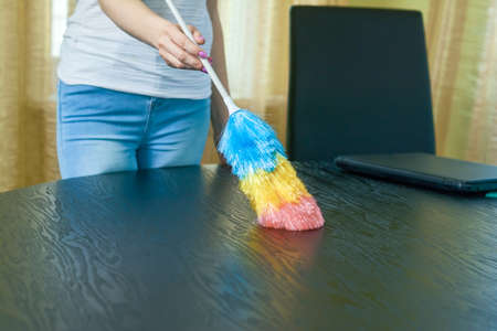 Female hand using dust brush. Young woman, dusting.の写真素材