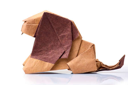 Origami lion on white background. Wet-folding technique, paper sculpting art. Craft exposition concept.の写真素材