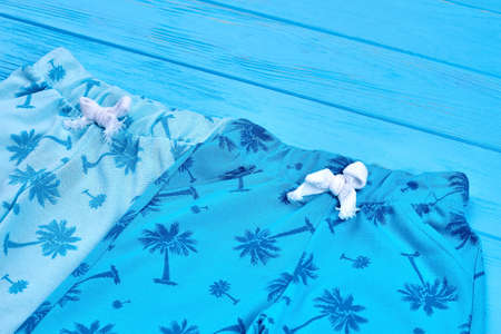 Close up of trendy color baby pants. Blue color cotton childs pants in palm print, blue wooden...