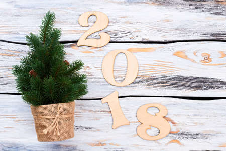 Wooden number 2018 and little spruce. Carved wooden numbers forming number 2028 for New Year with handmade green Christmas tree on white wooden background.の写真素材