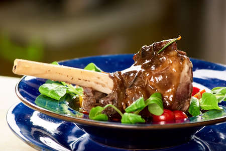 Roasted lamb leg with sauce and side dish. Lamb shank with sauce and vegetable ratatouille on a plate.の写真素材