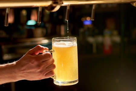 Bartender pouring fresh beer in pub. Beer pouring from a tap. Barman hand at beer tap pouring lager beer.の写真素材