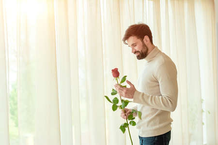 Bearded man holding rose near window.の写真素材