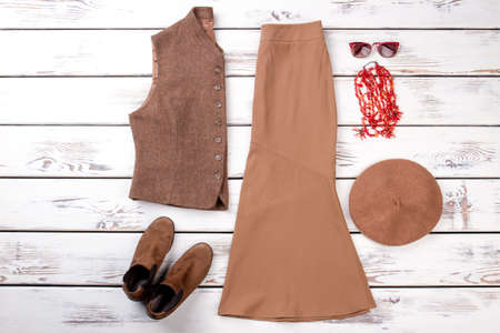 Concept of brown women clothes. Dress, jacket, shoes, beret and accessories.の写真素材