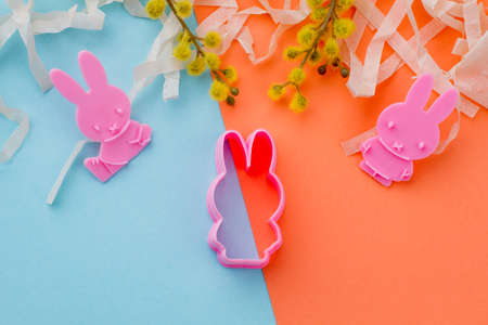 Easter holiday background, top view. Festive background with silicone rabbit shaped molds, pussy...