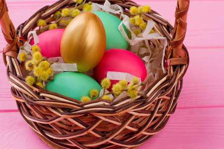 Easter eggs and pussy-willow in woven basket. Gold egg and colorful eggs decorated with pussy-willow twig in basket on pink wooden background.の写真素材