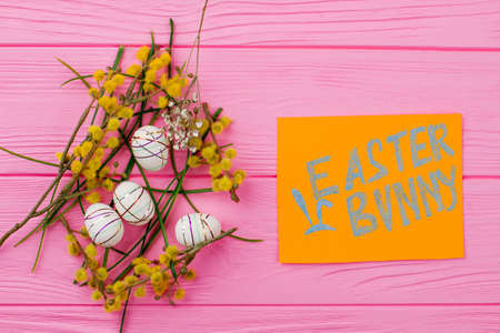 Easter spring composition with yellow pussy willow. Nest with polystyrene decorated Easter eggs, green grass and flower blossom on pink wood. Easter bunny text on card.の写真素材