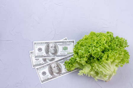 Fresh lettuce, dollars and copy space. Image of money and lettuce on textured background. Investment in organic product.の写真素材