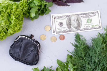 Fresh food, wallet and dollars. Fresh organic vegetables, purse, coins and dollars. Cost of healthy eating.の写真素材