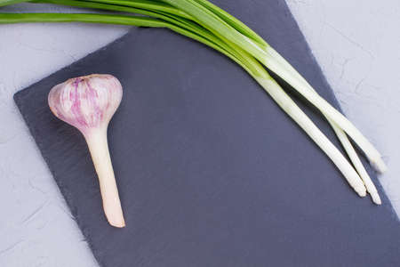 Fresh garden onion and garlic. Young green onion and garlic on slate with copy space. Best vegetables to eat.の写真素材