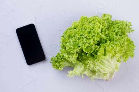 Lettuce and smartphone on textured background. Fresh lettuce and touch screen phone on light...