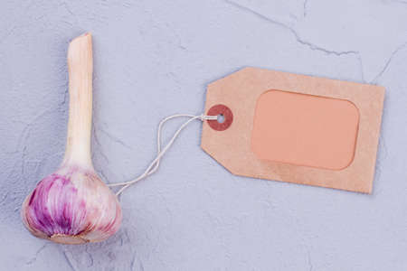 Young fresh garlic with label. Purple garden garlic. Organic spicy vegetable.の写真素材