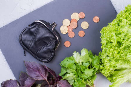 Fresh vegetables, purse and coins. Lettuce, parsley, basil and wallet with coins on slate. Tips for eating healthy on a budget.の写真素材