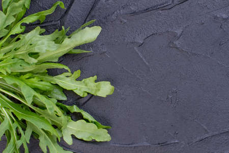 Organic arugula bunch on black slate. Fresh arugula leaves and copy space. Arugula and healthy eating.の写真素材