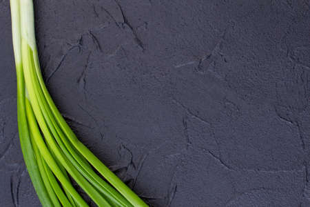 Green organic onion, copy space. Bunch of green onion leaves on slate, text space. Reasons to eate spring green onion.の写真素材