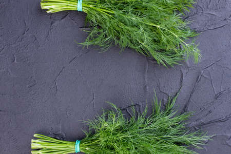 Two bunches of dill, top view. Bunches of fresh green dill on black slate and copy space. Delicious spicy plant.の写真素材